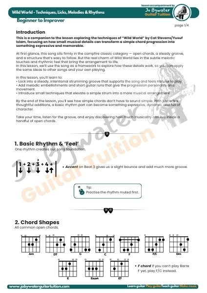 5 Guitar Tricks That Transform Wild World - Chords, Groove & Licks PDF